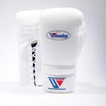 Professional Leather Sparring Gloves – 8 oz to 16 oz – product image 1