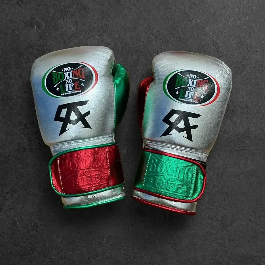 No Boxing No Life (NBNL) Premium Leather Boxing Gloves – Green, Red & Silver | Free Worldwide Shipping – product image 1
