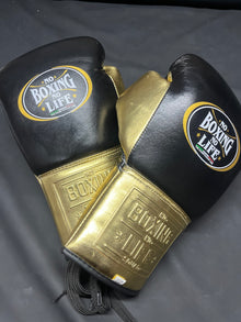 No Boxing No Life black and gold lace-up boxing gloves front view